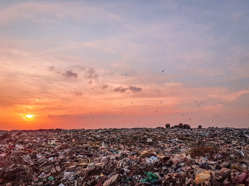 Zero Waste